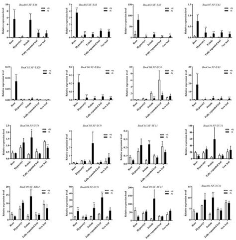 Identification and Comprehensive Analysis of the Nuclear Factor-Y ...