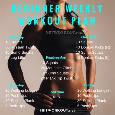 Basic Plan for Beginners 的图像结果