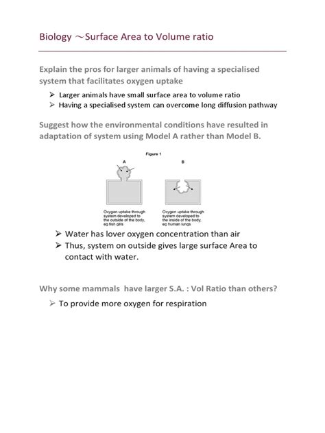 Image result for Surface Area Notes