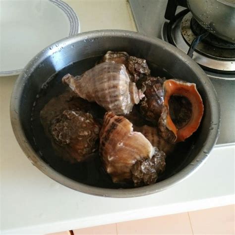 【煮海螺的做法步骤图，煮海螺怎么做好吃】月嫂金玉荣_下厨房