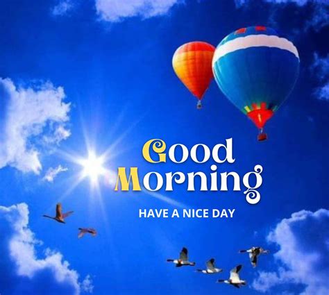 [200+] Hot Air Balloon Wallpapers | Wallpapers.com