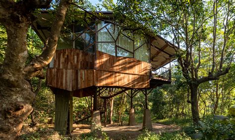 Kanha Jungle Camp l Luxury Forest Resorts & Hotels in Kanha National Park