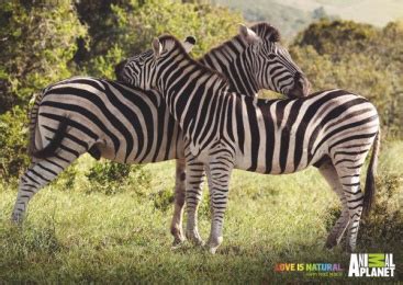 Image result for Fastest Washing Machine