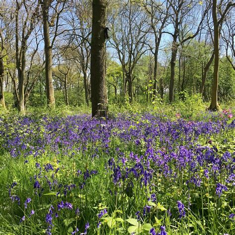 BURBAGE COMMON AND WOODS - All You Need to Know BEFORE You Go 2026 ...