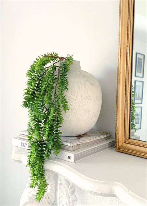 Plants & Planters – Mason Home