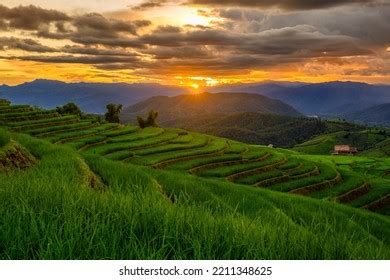 Image result for Loops Pattern in JavaScript