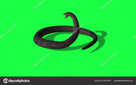 Image result for Snake Game Black Background Using Python
