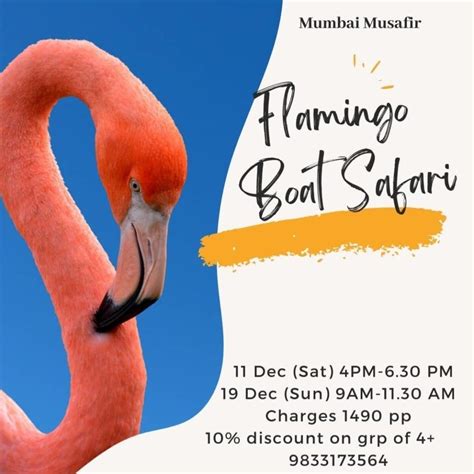 No Christmas plans? Here are 6 things to do in Mumbai in December