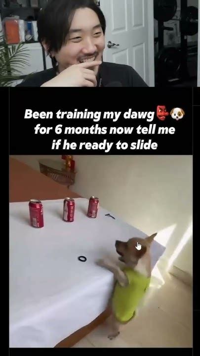 Image result for Rotmaxing Setup