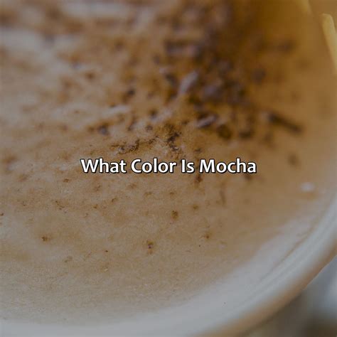 What Color Is Mocha - colorscombo.com