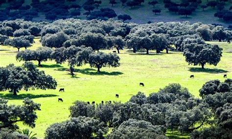 Extremadura Tourism (2024): Best of Extremadura - Tripadvisor