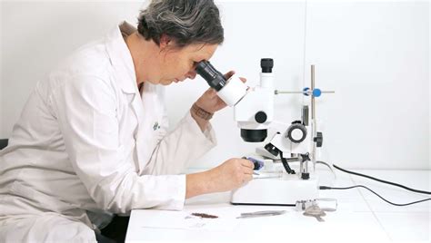 Image result for Seed Testing Lab