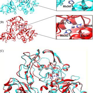 Image result for Docking Base Vertual Screening Using PyRx Tool