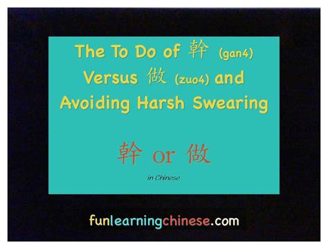 Chinese swear word