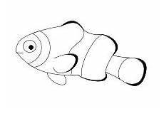 malvorlagen fische muscheln nemo clownfisch clownfisch fische nemo malvorlagen fische muscheln nemo clownfisch clownfisch fische nemo
