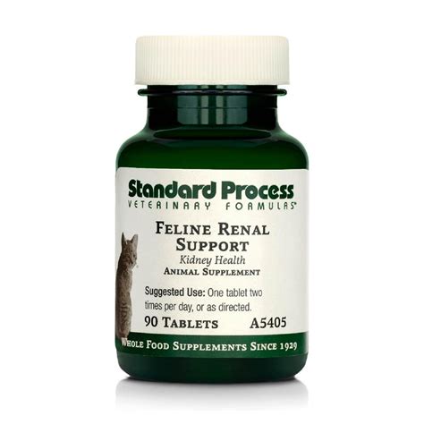 Standard Process Feline Renal Support - Cat Supplement to Support ...