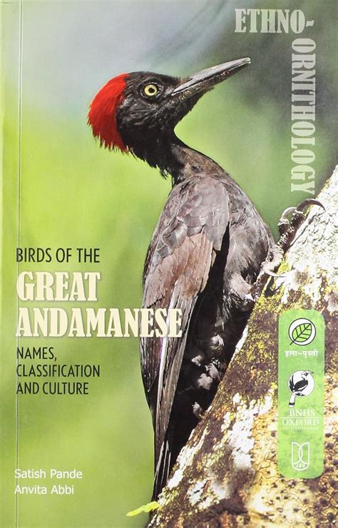 Buy Birds of Andamanese: Names, Classification and Culture Book Online ...