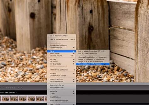 Image result for Focus Stacking Tutorial