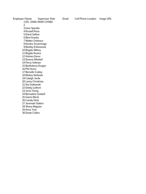 Image result for Org Chart Examples