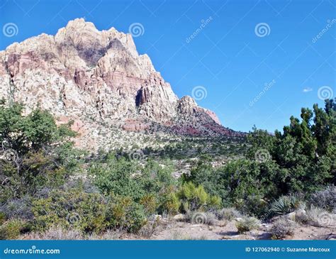 First Creek Trail, Red Rock National Conservation Area, Nevada Stock ...