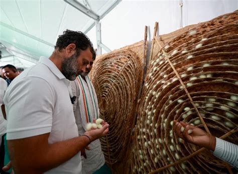 Image result for Silk Processing