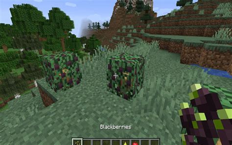 Simple Farming Mod Survival 的图像结果