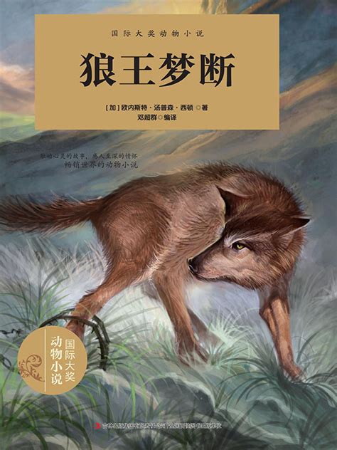 狼王梦（2009年浙江少年儿童出版社出版的图书）_百度百科