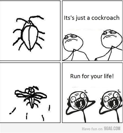 Flying Cockroach Meme 的图像结果