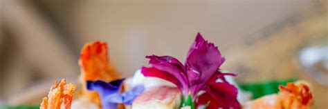 Bubble in the Forest Cafe - Klook India