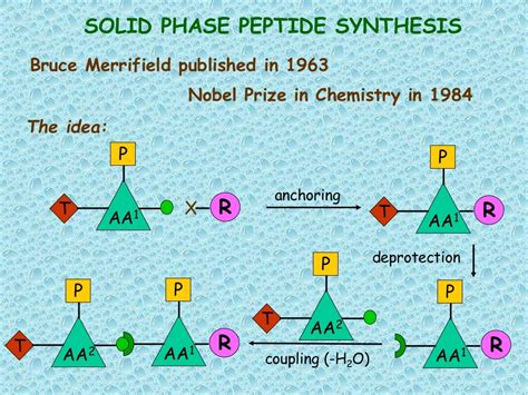Image result for Solid Phase Synthesis