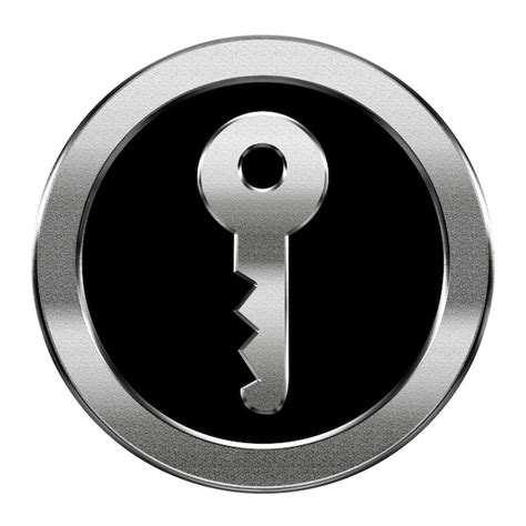 Image result for Silver Key in SQL Icon