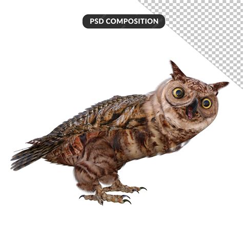 Premium PSD | Owls 3d rendering