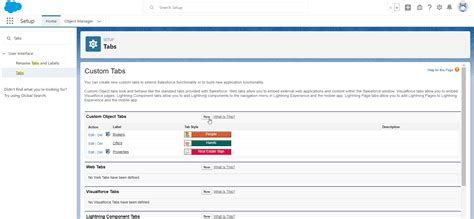 Image result for Create Visualforce Page for Custom Object