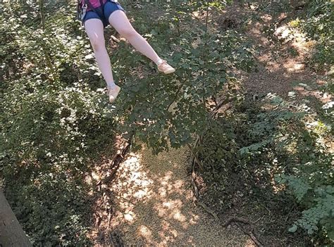 GO APE COCKFOSTERS (2026) All You Need to Know BEFORE You Go (with ...