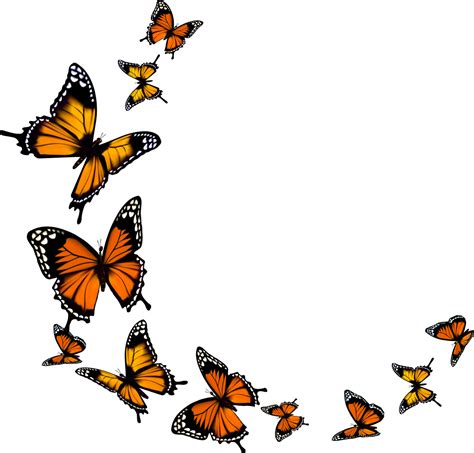 Monarch Butterfly - Transparent Background Butterfly Png Clipart - Full ...