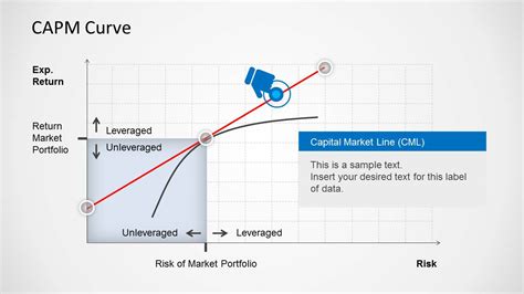Image result for Capm Graph