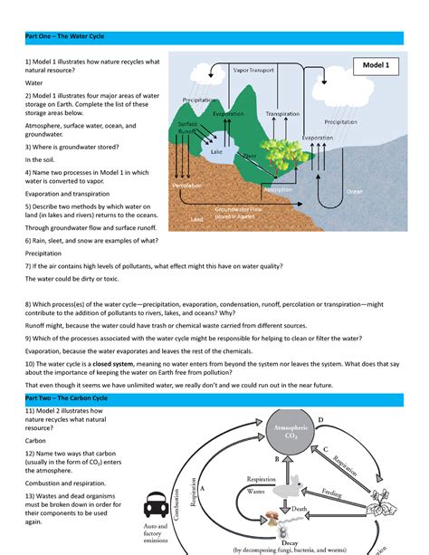 How Do Plants Contribute To The Water Cycle at Jeanette Upshaw blog