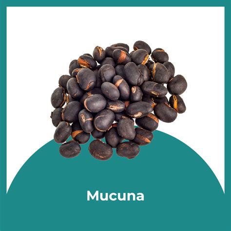 Ayurvedic Testosterone Booster for Men - Nisarga Herbs Ace