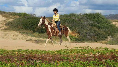 Paseo a caballo por el desierto de Los Cabos, Cabo San Lucas - Central ...