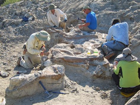 ANCIENT ODYSSEYS - All You Need to Know BEFORE You Go 2026 (with Photos ...
