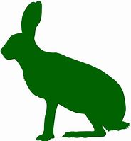 Image result for Arctic Hare Clip Art