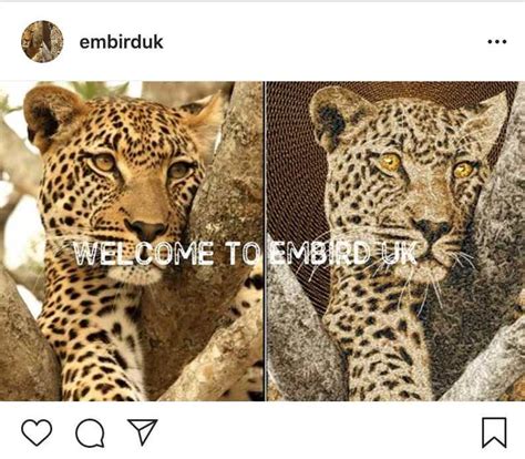 Image result for Embird Save Designs