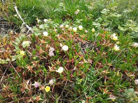Red Cliff Campground | Gallatin Gateway, MT