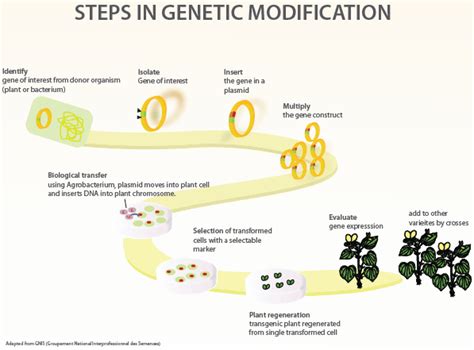 Biotechnology Process 的图像结果