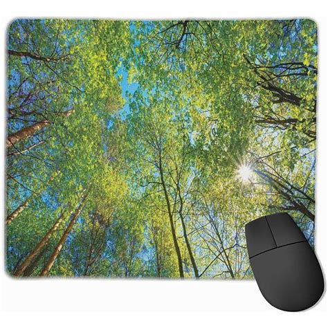 Small Raincoat Gaming Mouse Pad Forest Evergreen Trees Nature Trunk ...