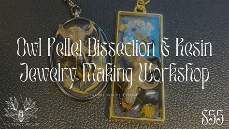 Owl Pellet Dissection / Jewelry Making Class, The Insect Asylum ...
