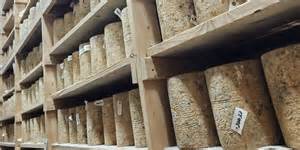 Local-made cheese gets global recognition at World Cheese Awards in ...