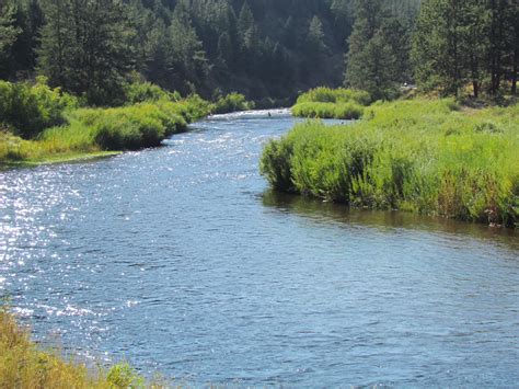 Deckers Colorado Campgrounds: Find Your Perfect Spot