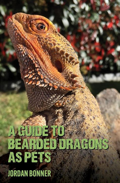 Guide to Bearded Dragons as Pets eBook : Bonner, Jordan: Amazon.in ...