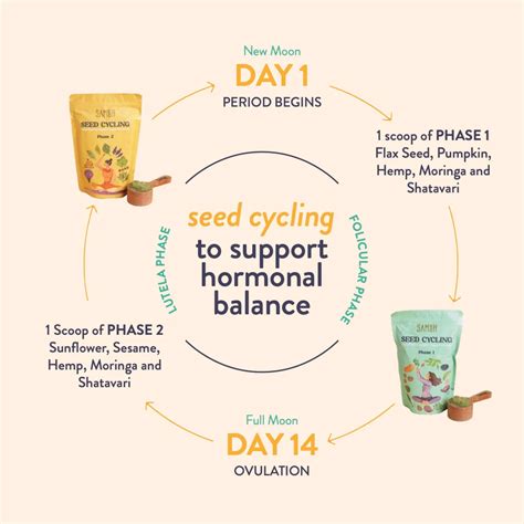 How to Do Seed Cycling: Step-by-Step Guide to Natural Wellness – Samāh ...